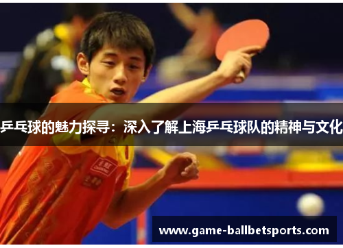 乒乓球的魅力探寻：深入了解上海乒乓球队的精神与文化